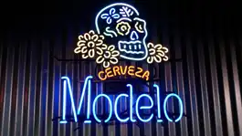 Neon Modelo